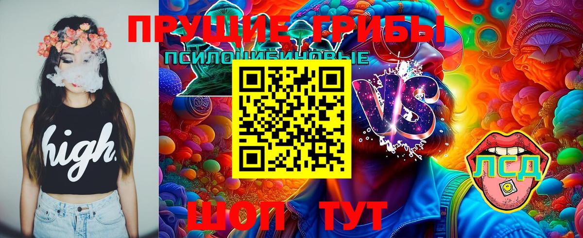хочу   Псилоцибиновые грибы Psilocybe  Вход с VPN  Приморско-Ахтарск 